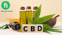 publish article and give you a cbd guest post