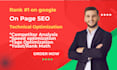 provide onpage SEO technical optimization for you wordpress website rank math