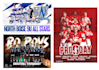 design an as awesome team sport flyer or banner