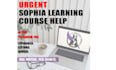 do sophia, wgu, walden and teas tasks