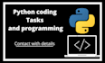 do computer science projects, python programming and IT tasks