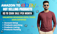 set up ebay dropshipping store for fast sales