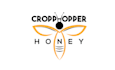 design creative honey bee and spray plane logo