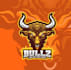 custom bull logo design powerful, bold unstoppable