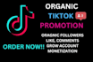 grow and promote your tiktok account followers organically