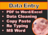 do fast data entry typing work job, copy paste, ms word typing
