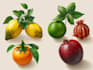 draw realistic plants, vegetables, fruits