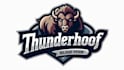 design bison mascot logo within 1 day