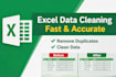 excel data cleaning, formatting, and remove duplicates professionally