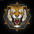 design wonderful tiger logo