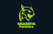 design panthers vector tracing sports logo