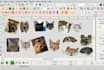 digitize all type of pets like dog cat within an hour