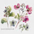 draw realistic botanical watercolor illustration