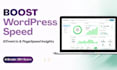 boost wordpress speed using gtmetrix, google pagespeed insights