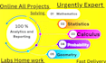 be your mathematics, discrete math, algebra, calculus 1 2 3, statistics tutor