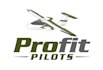 do modern high quality biman, pilot logo just 12 hrs
