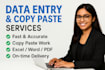accurate data entry, copy paste and typing work