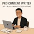 write high quality, SEO friendly content and articles