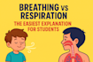 clearly explain the difference between breathing and respiration