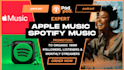 do effective spotify streams, USA, UK spotify track