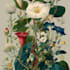 draw an animal and botanical illustration