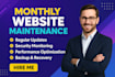 be your wordpress website developer monthly job