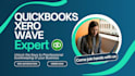 do bookkeeping, setup, and cleanup on quickbooks, wave, xero, and excel