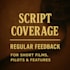 provide professional script feedback with a free logline