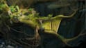 paint an environmental concept art