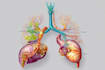 draw exercise, medical and anatomy illustrations