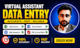 do excel data entry , internet research and email scrapping