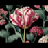 made a botanical illustration depending on your concept