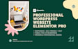 build, or redesign  wordpress site with elementor pro
