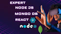 do web application development using react node mongo db