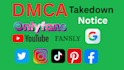 takedown harassing defaming report to google,reddit,fb,tiktok,yt,ig,x under dmca