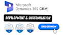 do expert dynamics 365 CRM development