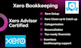 do xero bookkeeping, setup, and account reconciliation