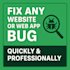 fix any website or web app bug quickly and professionally