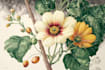 paint botanical and scientific illustrations