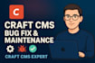 fix bugs and maintain your craft cms website