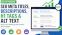 write SEO meta titles, descriptions, h1 tags  alt text