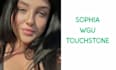 help with sophia learning, wgu and essays