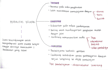 handwrite any text, docs, study notes, and letters etc