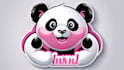 design panda mascot logo with express delivery