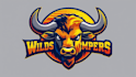 design buffalo mascot logo with express deliver