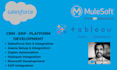 develop automate and streamline your salesforce CRM