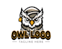 design proffesional owl mascot logo
