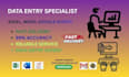 professional data entry excel copy paste services
