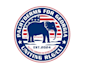 make professional political logo with creative concept