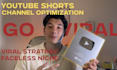 help you go viral with expert youtube consultation